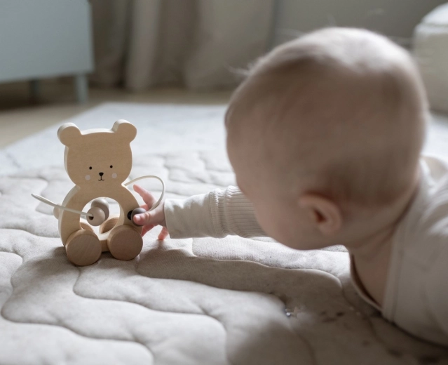 Puikiai tinka pirmiesiems atradimams nuo 12 mėnesių