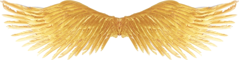 Golden Angel Wings for Adults
