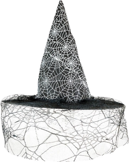 Witch hat with veil