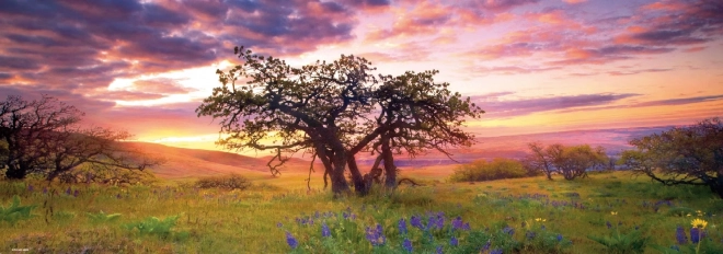 Panoraminė dėlionė „Ąžuolas Columbia Hills valstybiniame parke“, 2000 detalių