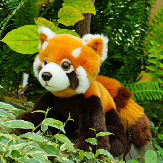 Realistinės raudonojo pando detalės
