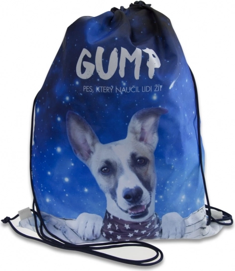 Blue GUMP shoe bag