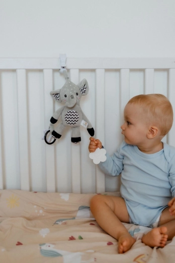 Švelnus barškutis ir šlamančios ausytės