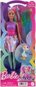 Barbie ir magijos prisilietimas – draugė – Rocki