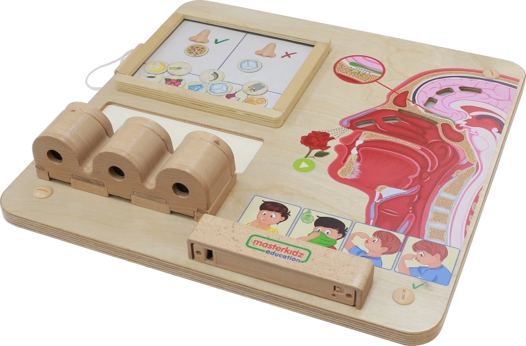 Sensory learning through play