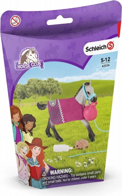 Schleich Horse Club pramogų rinkinys gyvūnams