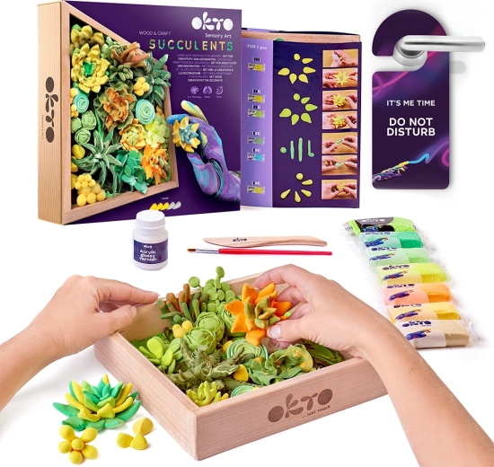 OKTO Energy Creative Modeling Kit with Succulents in a Wooden Frame