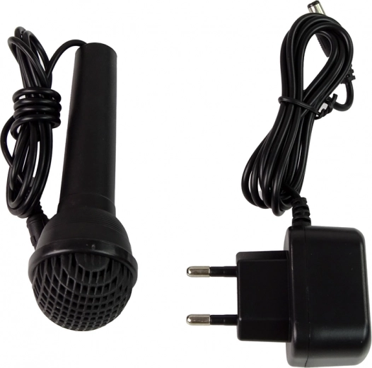 Mikrofonas ir LED šviesos dar daugiau pramogų