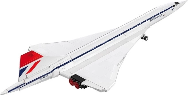 An aviation icon in 1:100 scale