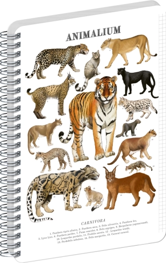 Notique Animalium spiral notebook – big cats A4, squared