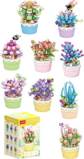 Florist sukulentai dekoratyviniuose vazonėliuose (9 rūšys) – 1 vnt.