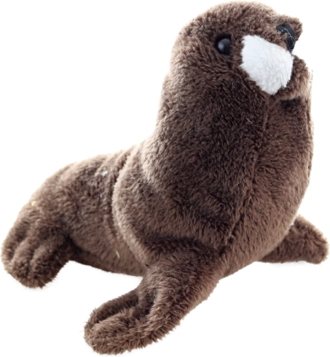 Idealiausias 13 cm dydis