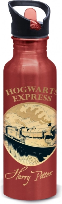 Aliuminio butelis Harry Potter - Golden Magic