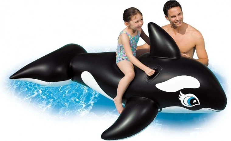 Large orca for summer water fun
