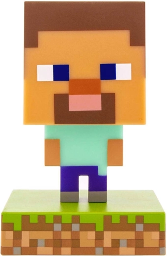 Iconic Steve design