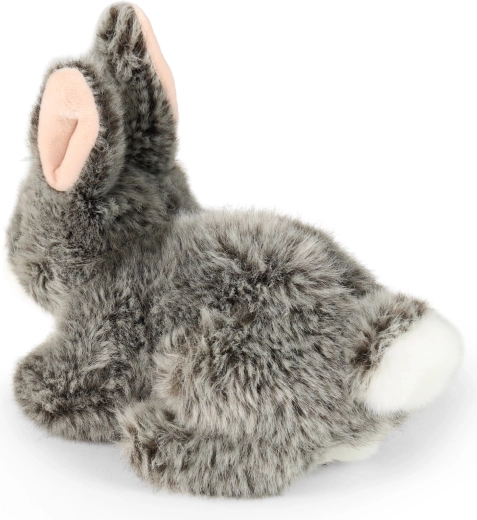 Soft companion for cuddling