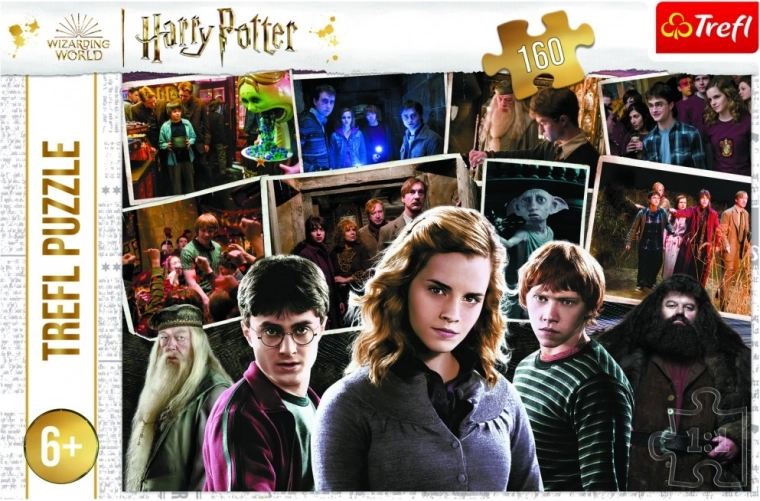 Dėlionė HARRY POTTER ir draugai, 160 detalių, Trefl