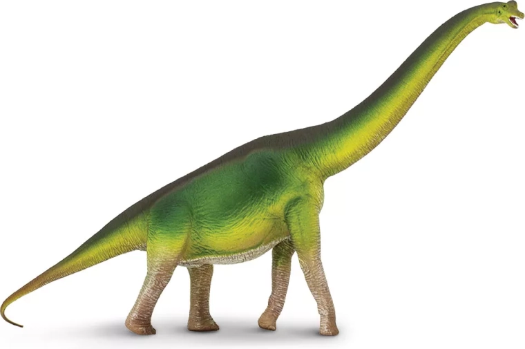 Safari Ltd. brachiozauro figurėlė – 1 vnt.