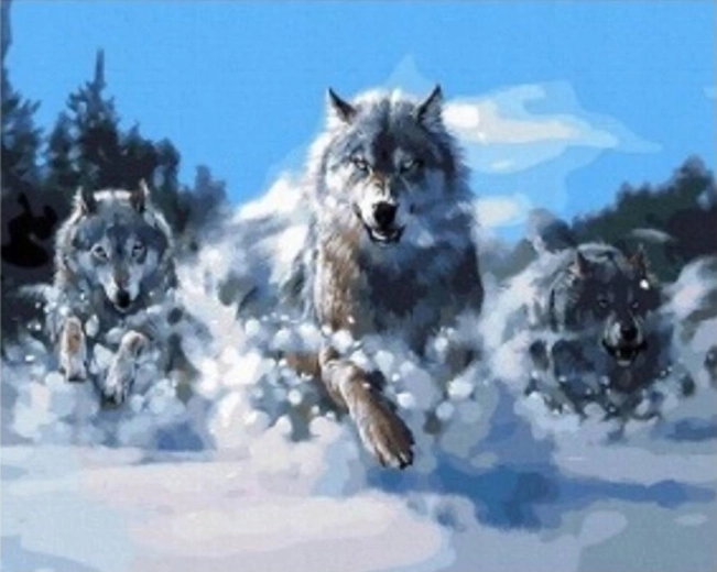 Diamond Painting Wolf Pack in the Snow 30 × 40 cm