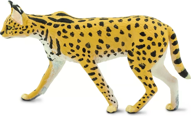 Great for play, learning and collecting