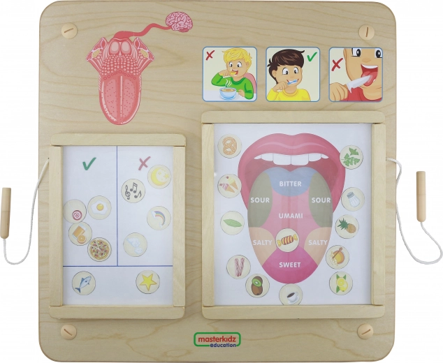 Masterkidz edukacinė lenta „Skonio pojūtis“ Montessori