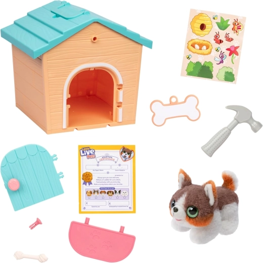 Build a home for the puppy