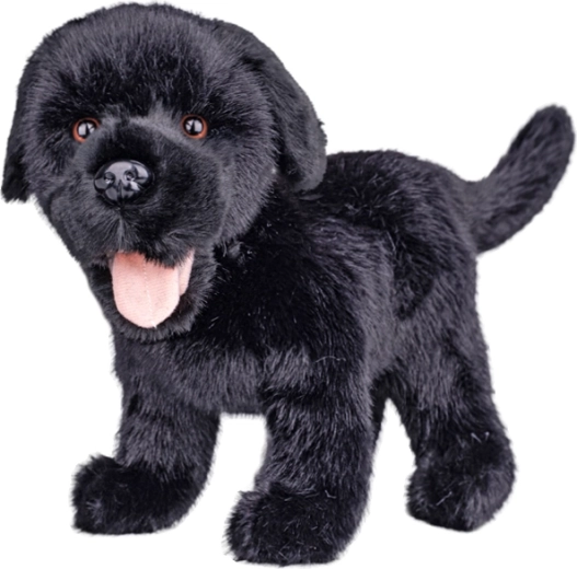 Pliušinis juodas labradoras 23 cm – 1 vnt.