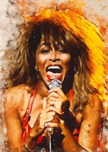 Norimpex tapyba pagal skaičius Tina Turner dainuoja 40 × 50 cm