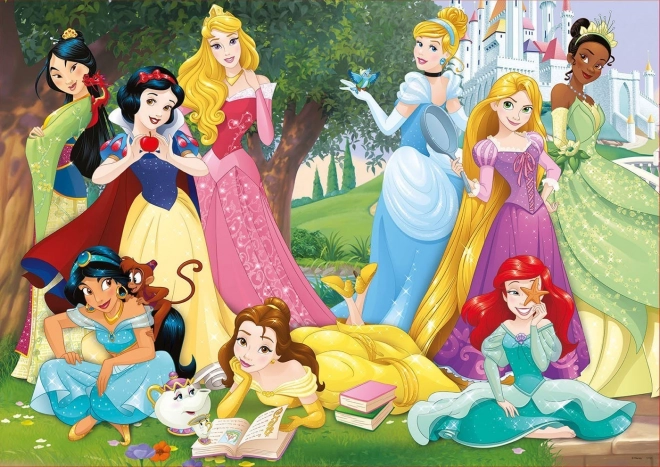 Educa dėlionė „Disney princesės“ 500 dalių