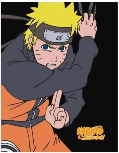 Naruto flisinis pledas