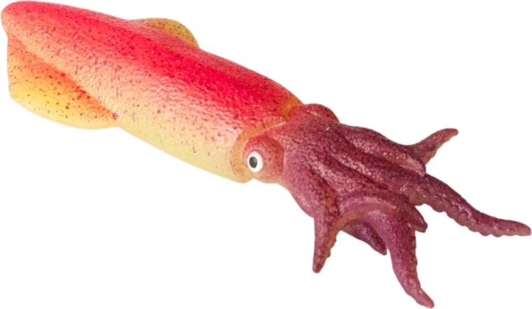 Realistic details like a real squid
