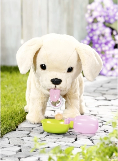 Care like a real pet