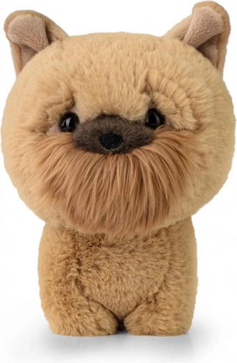 TEDDY PETS Plush Toy – Brussels Griffon (Brabant)