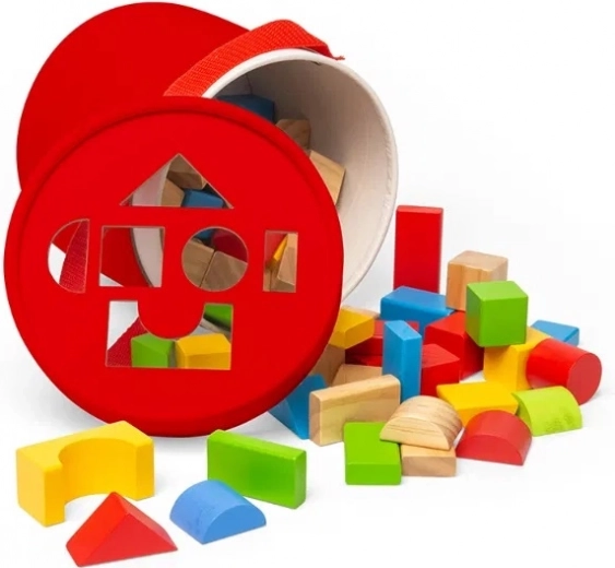 Bigjigs Toys medinės kaladėlės ir formų rūšiuoklė būgnelyje