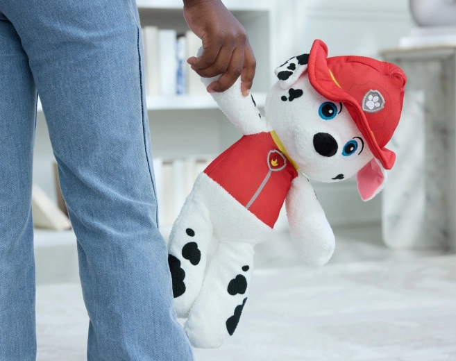 For little Paw Patrol fans