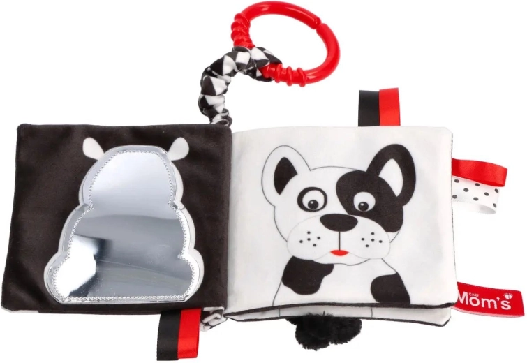 Mirror and tags for tactile play