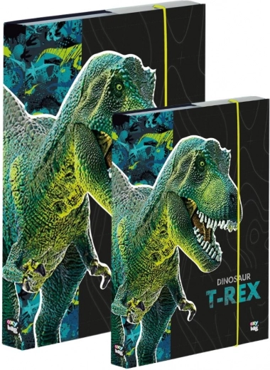 A4 ir A5 sąsiuvinių dėžučių rinkinys – dinozauras