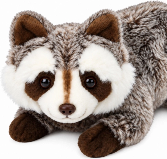 Realistic raccoon design
