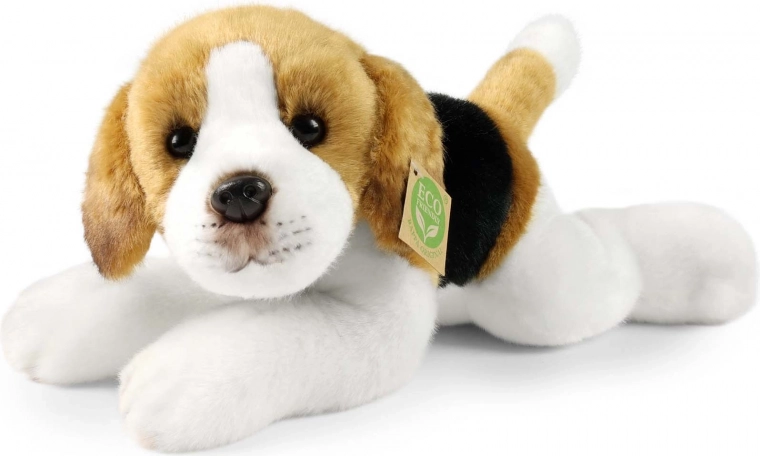 Pliušinis gulintis biglis 30 cm, ekologiškas