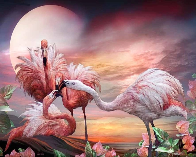 Norimpex Paint by Numbers Flamingos 40 × 50 cm