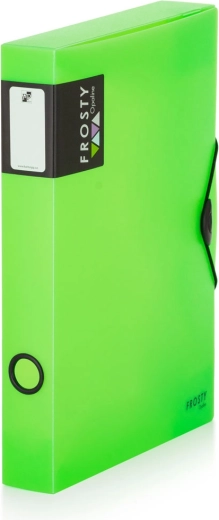 Box with Elastic A4 Maxi Opaline Frosty Green
