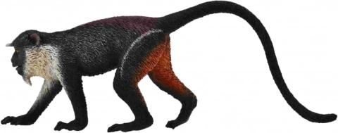 Collecta Diana monkey – realistic animal figure