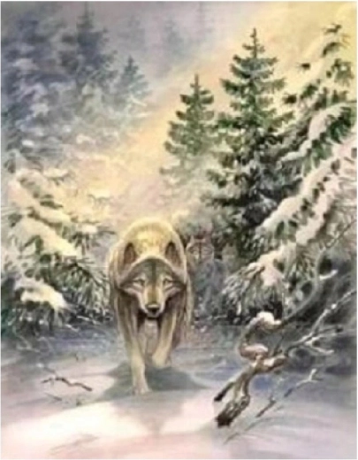 Norimpex tapymas pagal skaičius Vilkas miške 40 × 50 cm