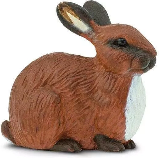 Safari Ltd. triušio figūrėlė – 1 vnt.