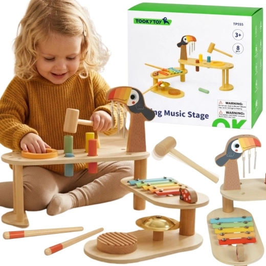 Tooky Toy edukacinis muzikinis staliukas tukanas