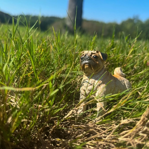 Žaidimas, kuris moko – namuose ir kelionėse