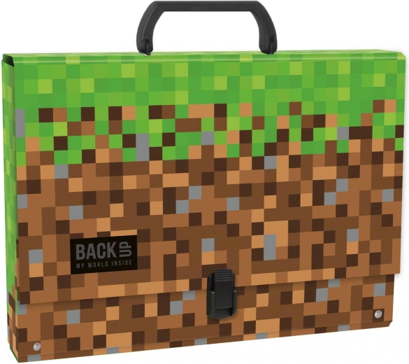 Minecraft Back up storage case