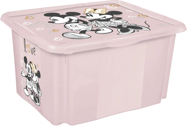 Minnie mažas rožinis laikymo dėžė