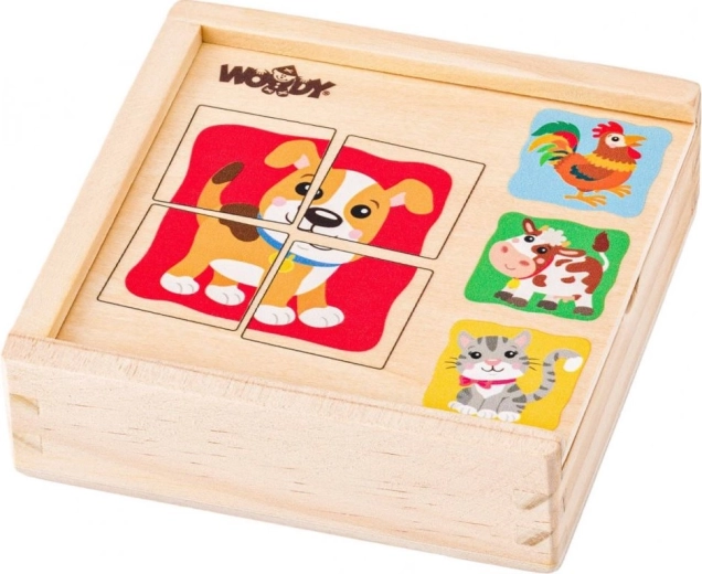 A first puzzle that motivates success