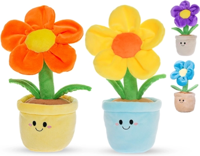 Sauga nuo gimimo (0+)